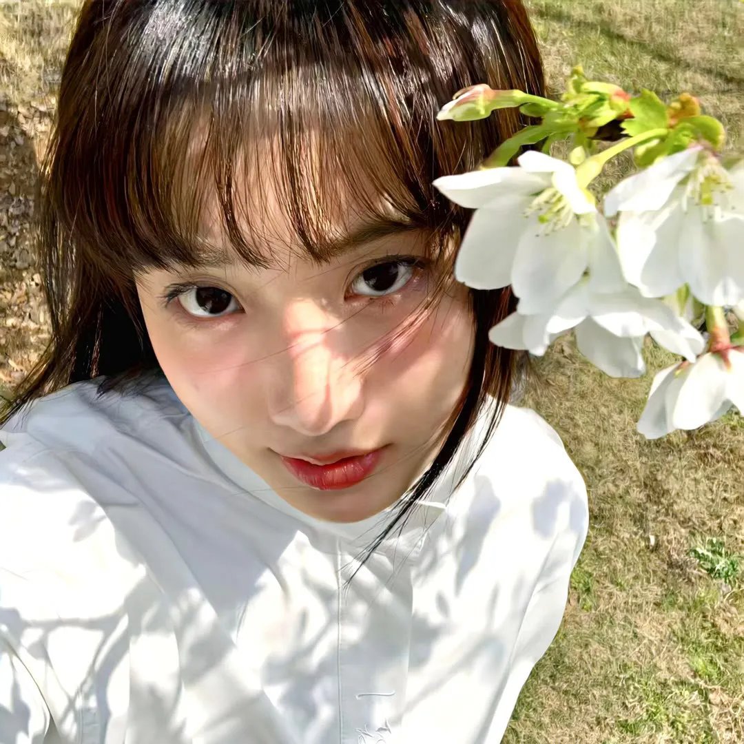 大护法